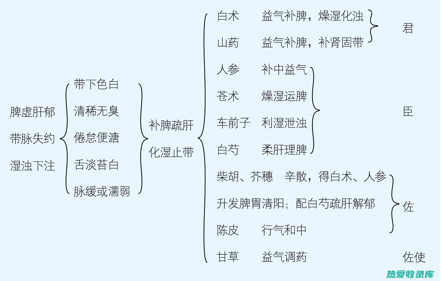 完带汤的功效 (完带汤的功效与作用)