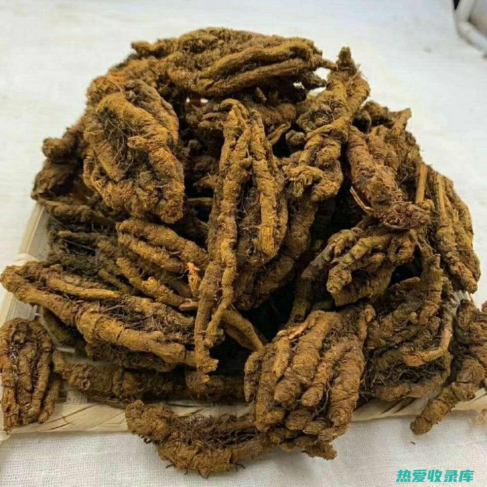 黄连片：功效与作用总览 (黄连片功效作用与主治)