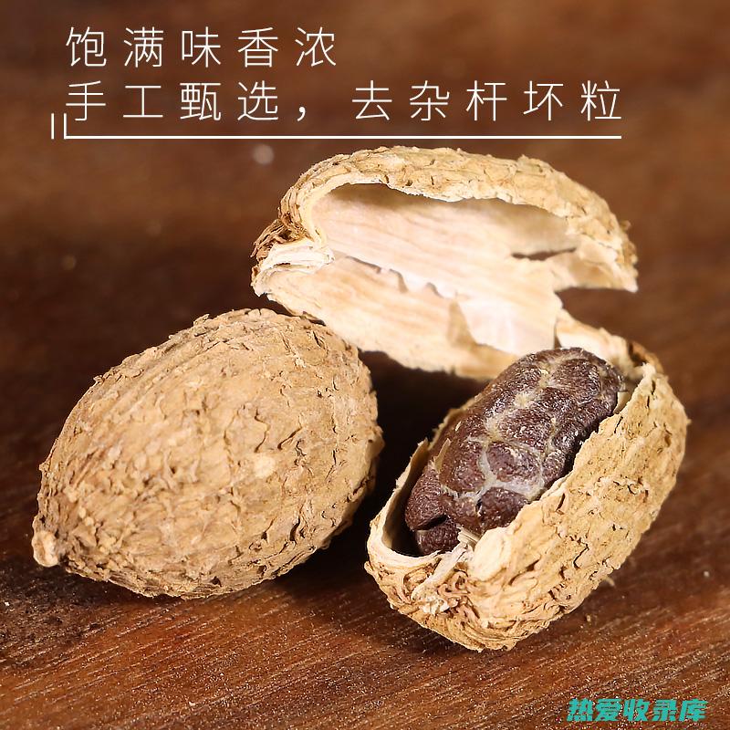 沙仁的功效与用途