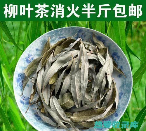 柳树枝水：用途广泛的水药，功效多 (柳树枝是什么意思)