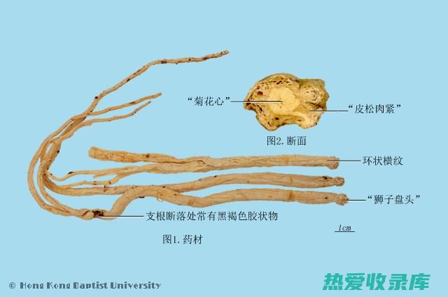 方剂功效主治最新汇总 (方剂功效主治总结表格)