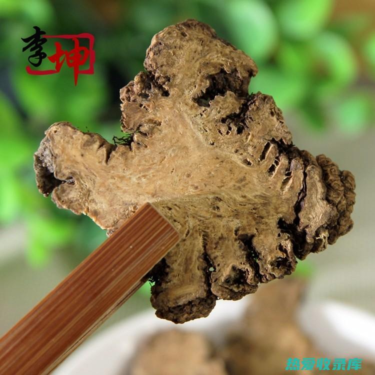 川芎的神奇功效与作用：从缓解疼痛到调节血管健康 (川芎的神奇功效)