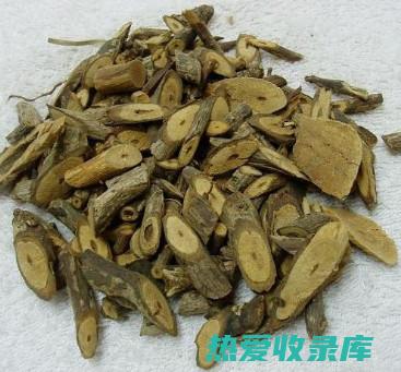 岗梅：功效与药用价值 (岗梅：功效与药用价值)