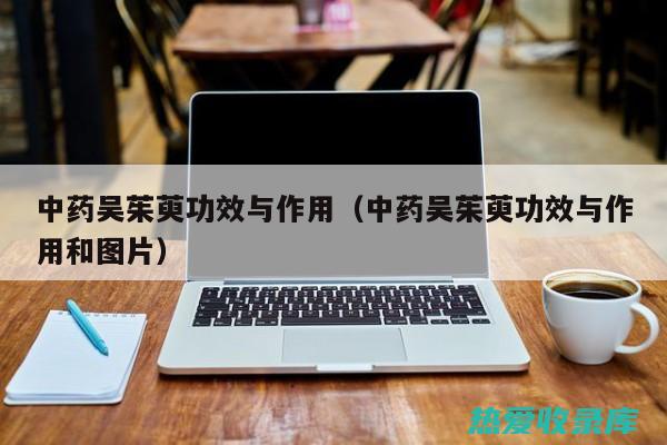 吴茱萸的功效与作用主要治什么病