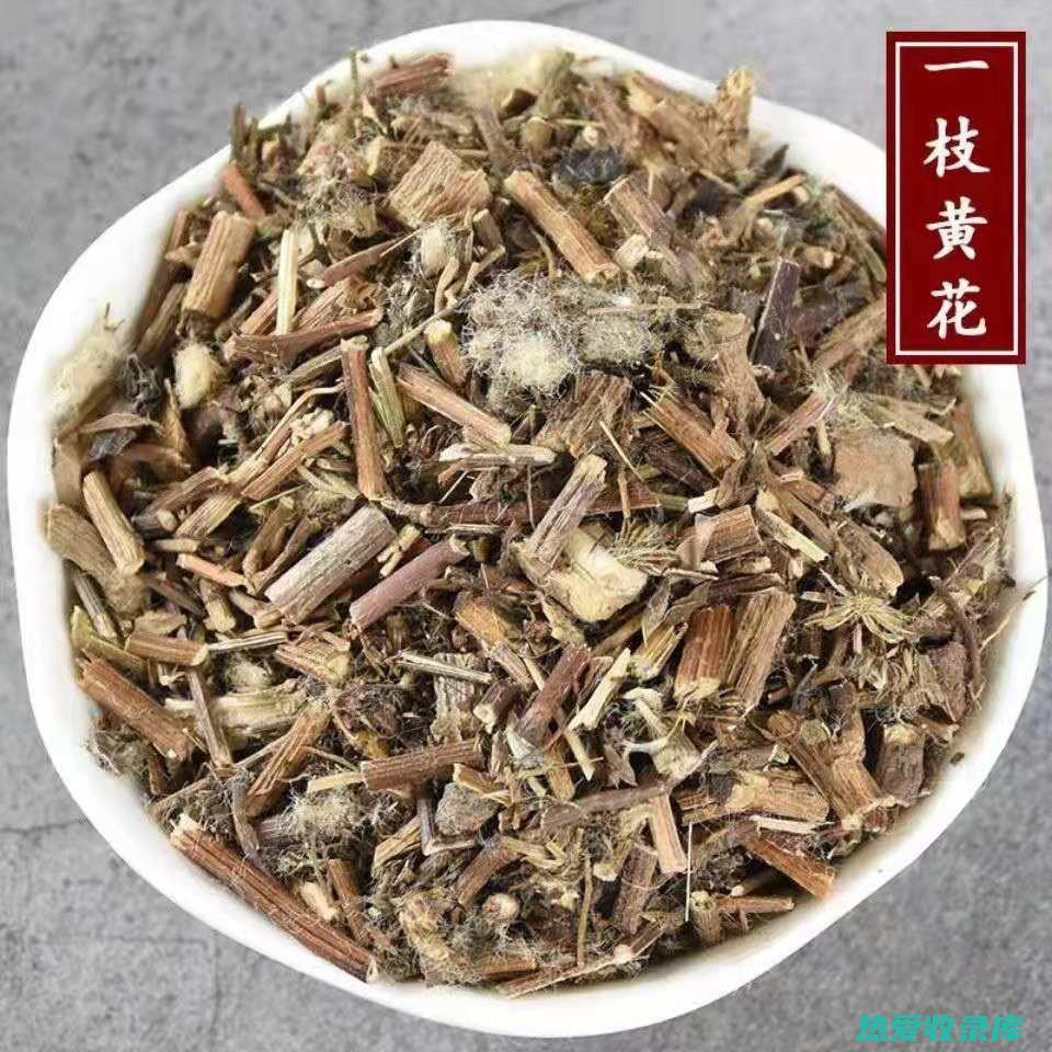 中药黄花的作用与功效 (中药黄花功效与作用及食用方法)