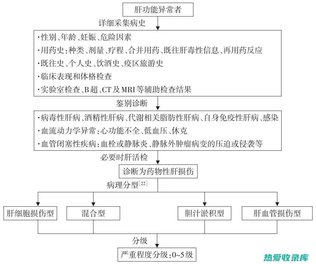 引起肝功能损害的中药及其防范措施 (什么会影响到肝)