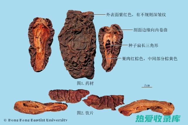 中药木瓜价格：每斤市场价值分析 (中药木瓜价格多少钱一斤)