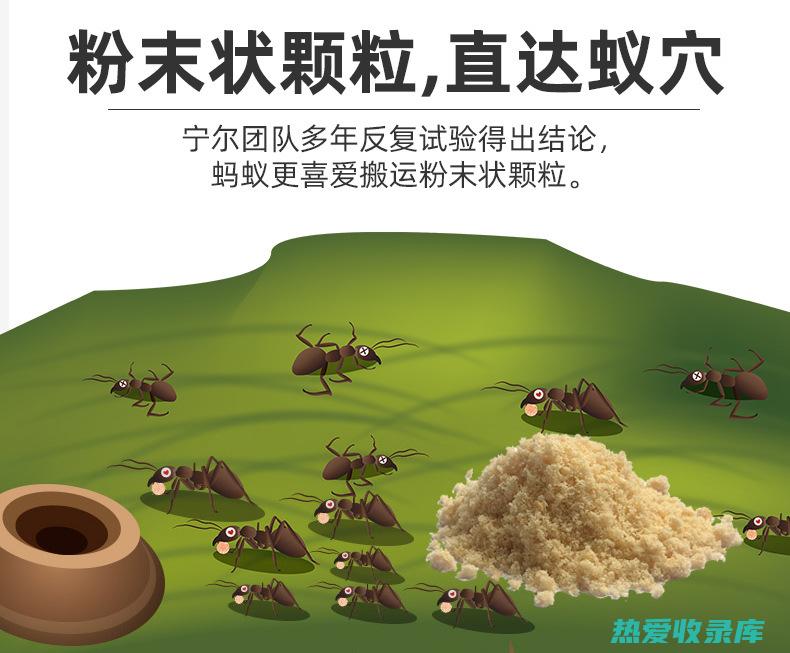 揭秘蚂蚁的药用之谜：蚂蚁中药的名称及功效 (蚂蚁药用)