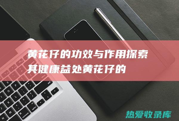 黄花仔的功效与作用：探索其健康益处 (黄花仔的功效与作用图片)