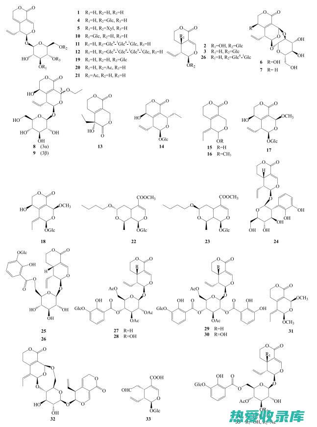 秦艽：全面剖析其功效与作用