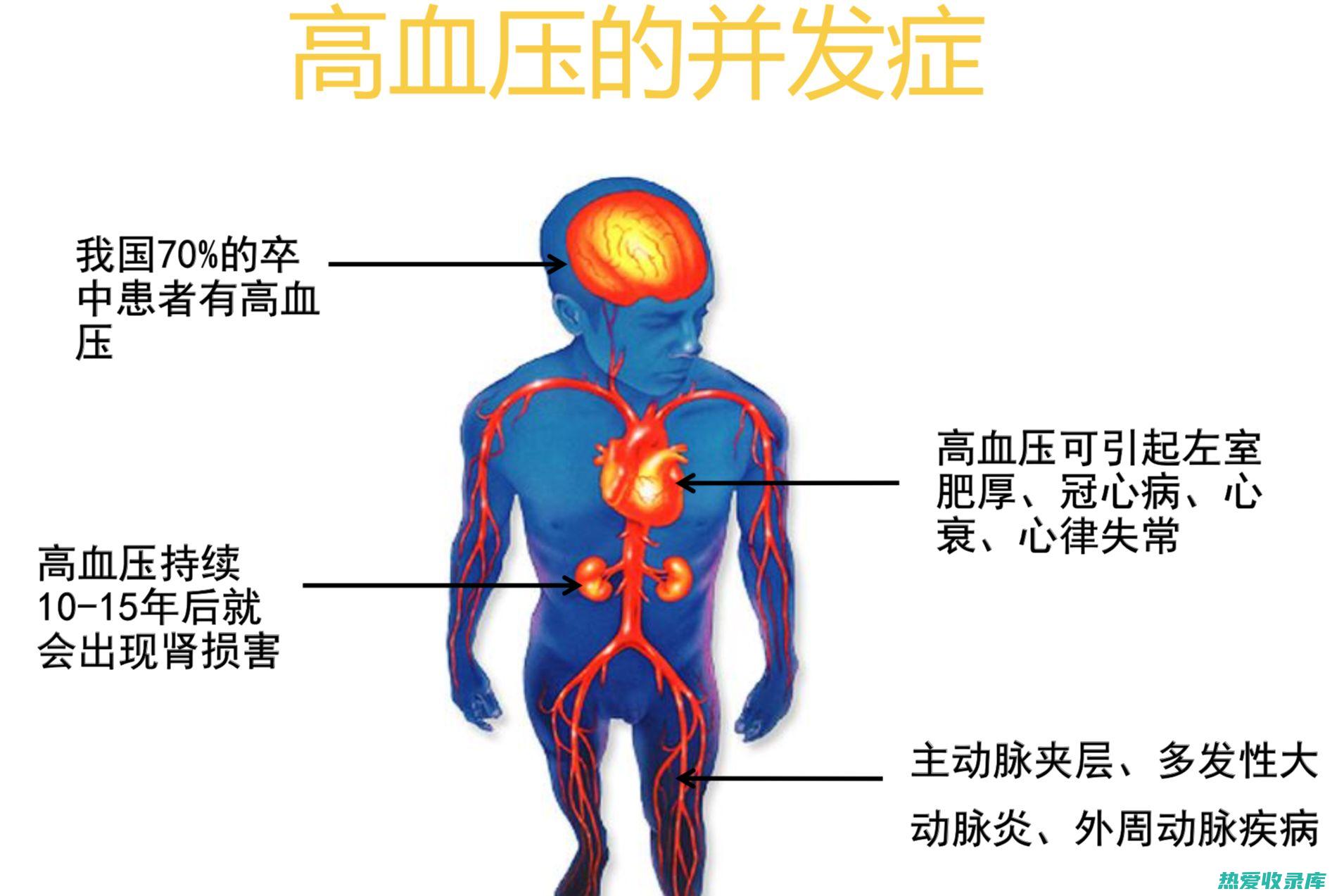 低血压患者应注意饮食均衡，多吃补气血的食物，如红枣、枸杞、羊肉等。(低血压患者应吃哪些食物)