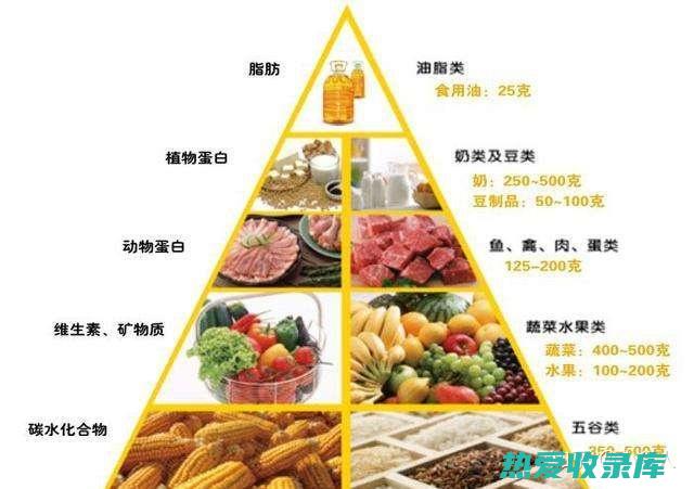 丰富的营养素：草食动物可以从植物中获取大量的维生素、矿物质、抗氧化剂和其他重要的营养素。(丰富的营养素为我们提供什么)