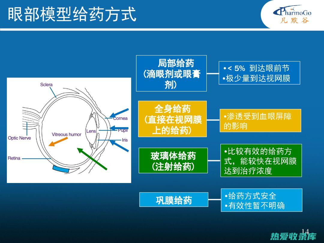 中药治疗眼神经萎缩：恢复视力，点亮生命之光 (中药治疗眼神经)