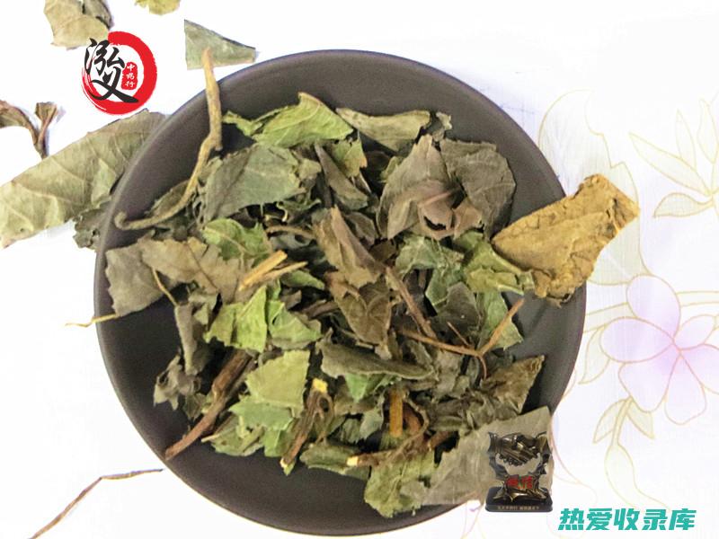 中药矮地茶：神奇的草本药，具有广泛的功效和作用 (中药矮地茶的功效与作用)