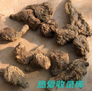 地黄的性味与功效与作用：涵盖中药药性、归经、主治、用法用量等全方位信息 (地黄的性味与归经)