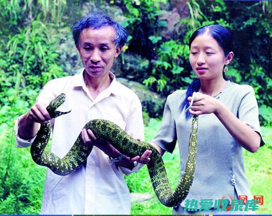 四脚蛇应在医生的指导下服用，不可擅自用药。(四脚蛇是蛇的医生吗)