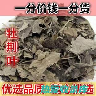 黄荆条：保健奇才，解热消炎、疏肝理气、抗氧化 (黄荆条的药用价值)