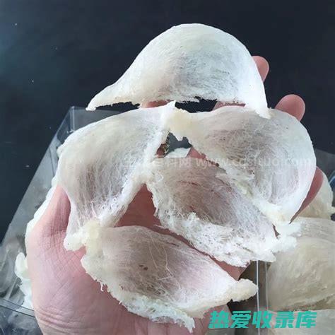 闻气味：优质的白术蜜具有浓郁的白术香气。(闻气味的)