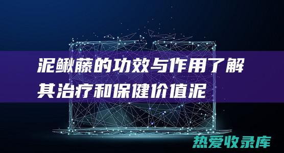 泥鳅藤的功效与作用：了解其治疗和保健价值 (泥鳅藤的功效与作用图片)