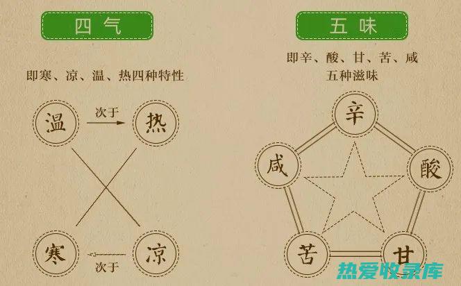 中药相需：互相滋补，共奏功效 (中药的相使)