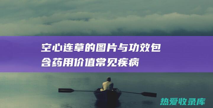 空心连草的图片与功效：包含药用价值、常见疾病的治疗作用和服用禁忌等详细介绍 (空心连草图片与功效)