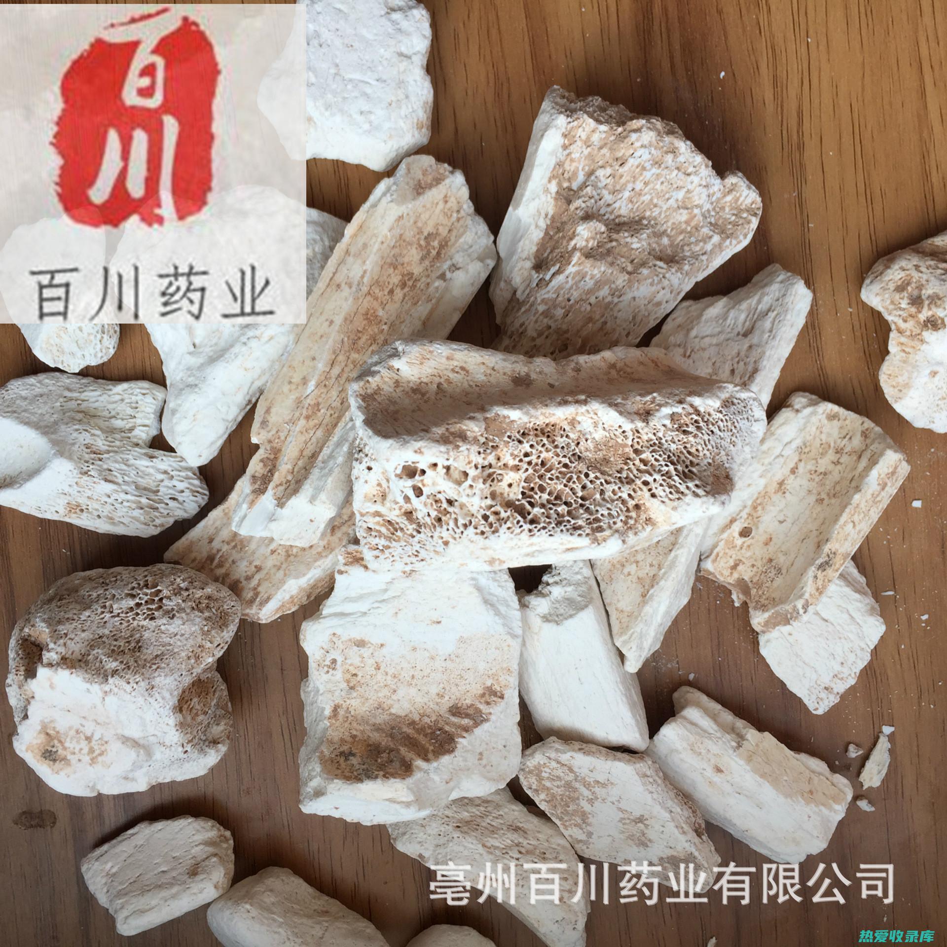 中药龙骨：功效与作用详解 (中药龙骨功效作用与主治)