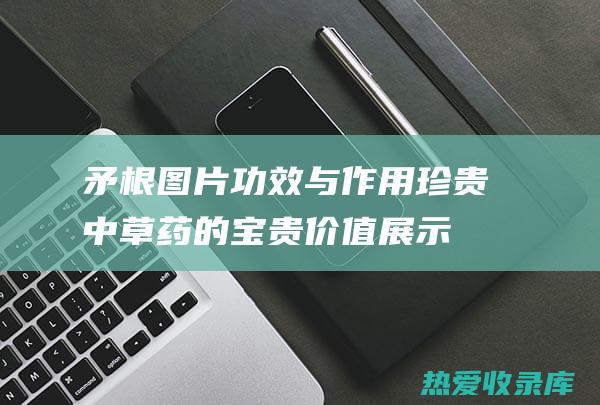 矛根图片功效与作用：珍贵中草药的宝贵价值展示 (矛根图片功效与作用)