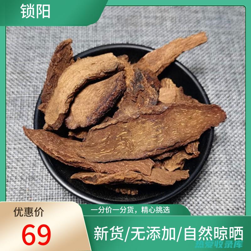 中药锁阳的妙用 (中药锁阳的妙用与功效)