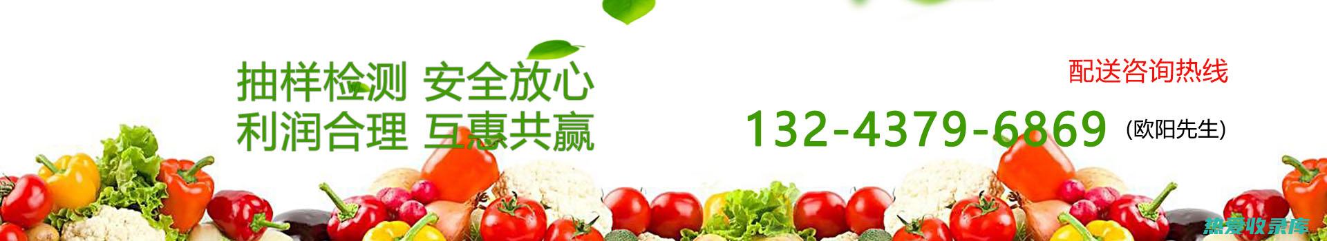 外用：取新鲜或干燥的毛香草叶适量，捣碎外敷患处，可治疗皮炎、湿疹等皮肤病。(新鲜使用的中药有哪些)