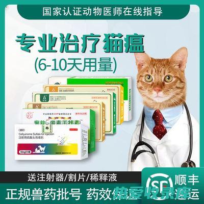 抗炎作用：猫爪草含有抗炎化合物，可以帮助减轻关节炎、肠易激综合征等炎性疾病引起的疼痛和肿胀。(猫抗菌消炎)