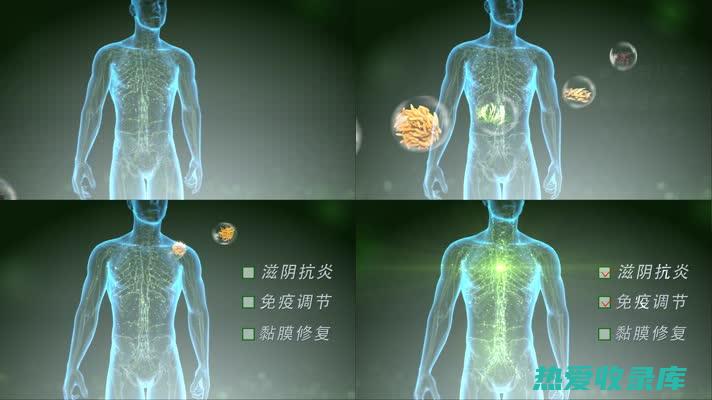 提高免疫力：猫爪草可以帮助增强免疫系统，从而提高身体抵抗感染的能力。(提高免疫力吃什么东西最好)