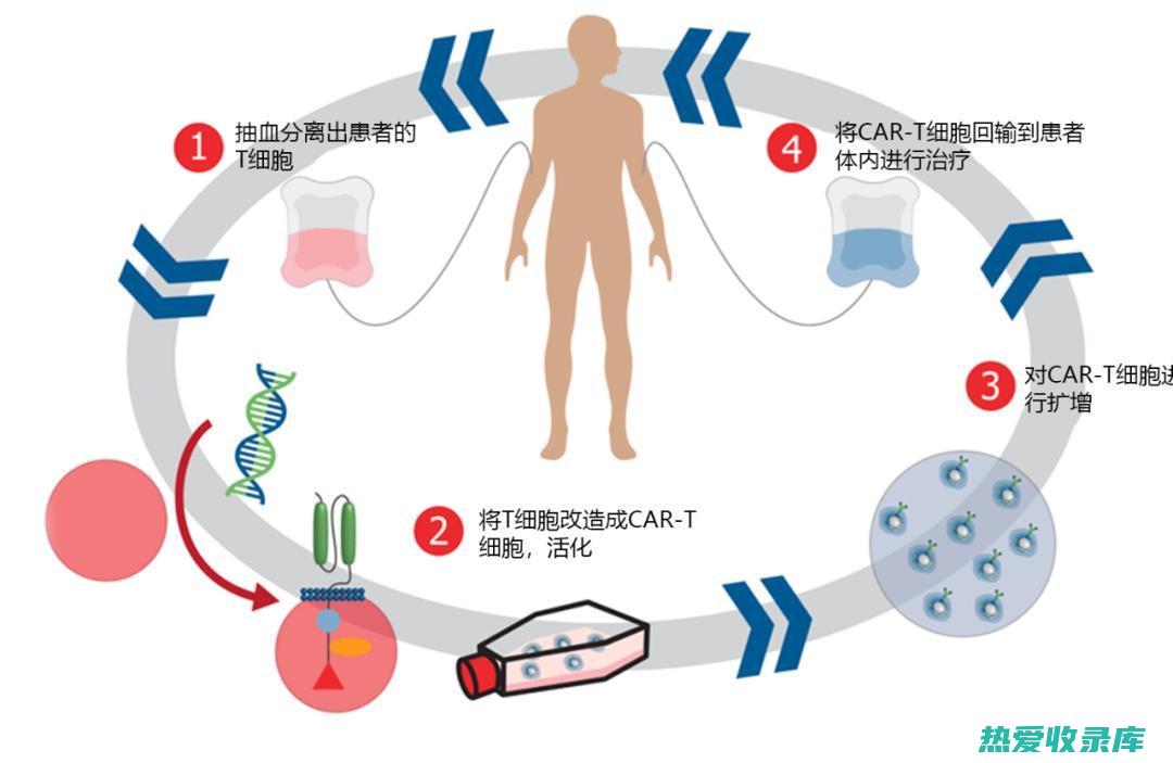 抗癌：研究发现，胆南星皂苷具有抑制癌细胞增殖的作用，可用于辅助治疗癌症。(抗癌最新研究)