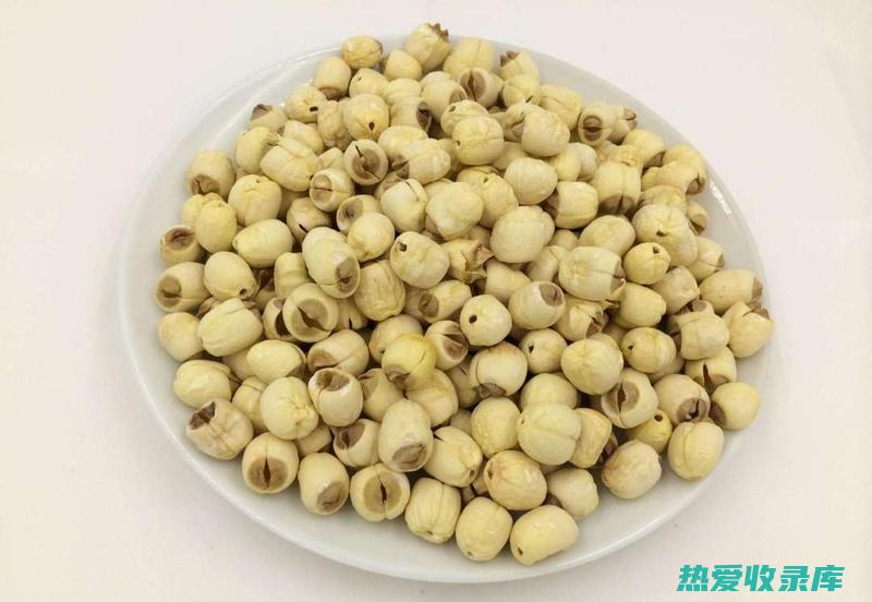 白莲的药用功效：中药白莲的神奇妙用 (白莲的药用功效)