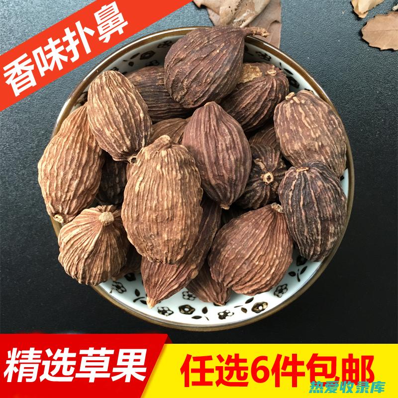 草果的性味功效与作用 (草果的性味功效和作用)