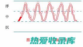 脉象滑数脉