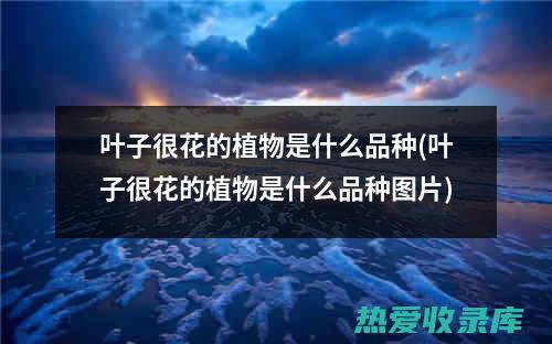 叶下花的功效和药用价值详解 (叶下花的功效与作用图片)