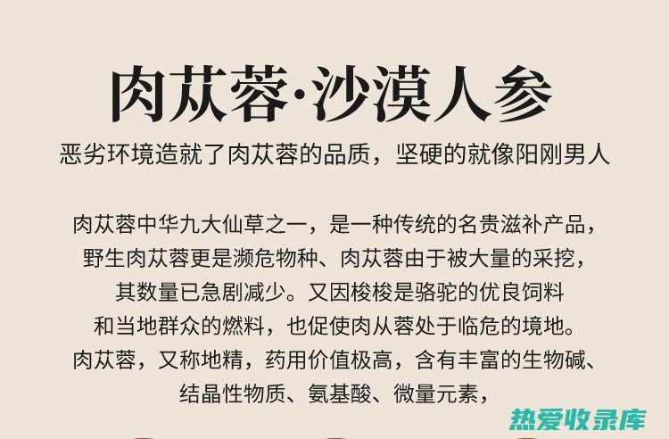 肉苁蓉：功效与作用，及对身体健康的好处 (肉苁蓉功效与作用的功效)