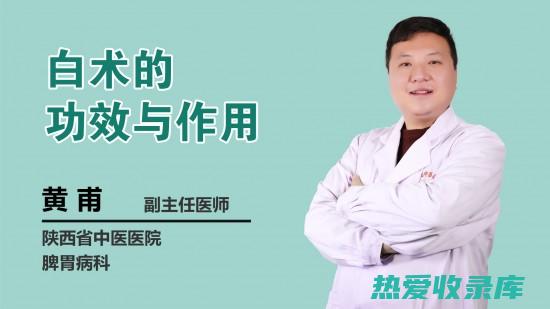 白术的功效与作用：增强免疫力、改善消化系统、抗炎、利尿、保护肝脏 (白术的功效与作用和主治)