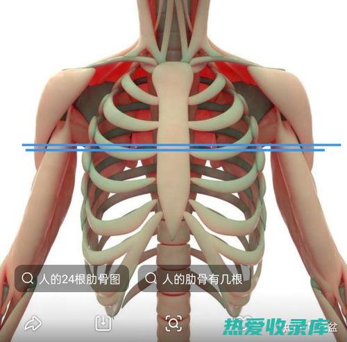 胁肋疼痛(胁肋疼痛在什么位置)