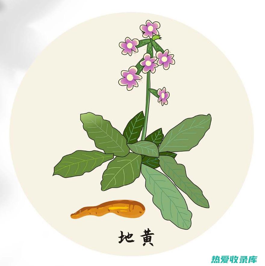 中药材 - 乌蛇: 一种古老而有效的治疗偏方 (中药材乌蛇草别名)