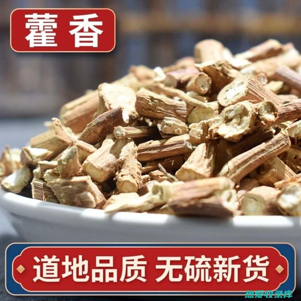 中药藿香的功效 (中药藿香的功效与作用)