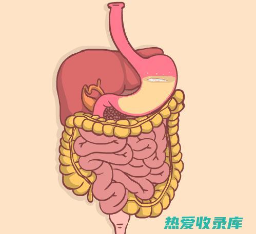 刺激性泻药：刺激肠道蠕动，促进大便排出。代表药物有大黄、番泻叶等。(刺激性的症状)