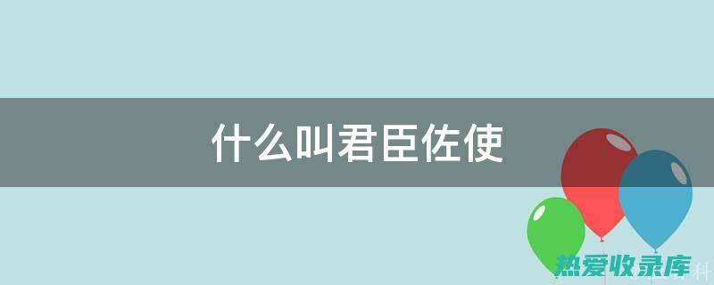 君臣佐使：中药方剂中药物按照主次关系分为君臣佐使。君药为主药，起主要治疗作用；臣药辅助君药，增强疗效；佐药协助君臣药，调和药性；使药引经导药，促进药物的吸收和分布。(君臣佐使中药)