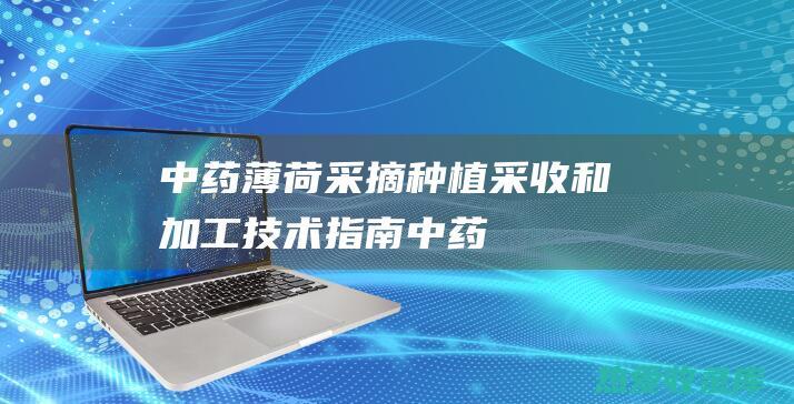 中药薄荷采摘：种植、采收和加工技术指南 (中药薄荷采摘时间)