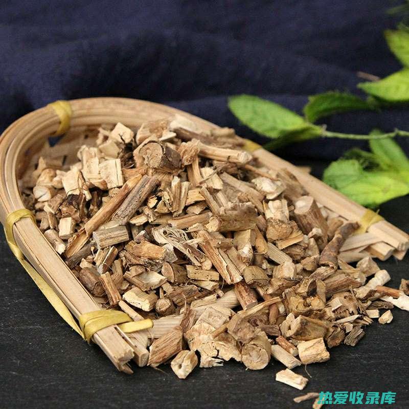 藿香的药用故事：从古代到现代的芳香之疗 (藿香的药物作用)