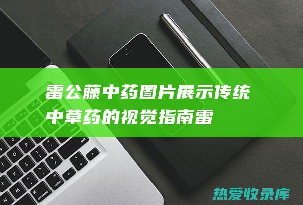 雷公藤中药图片: 展示传统中草药的视觉指南 (雷公藤中药图片高清)