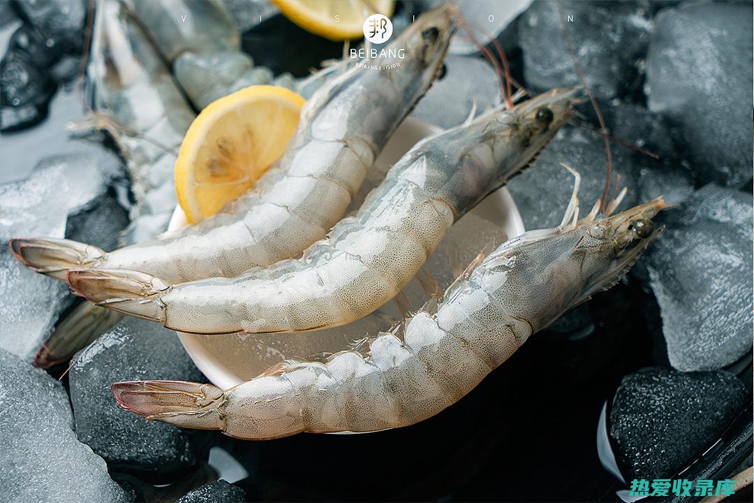 海虾的功效与作用：中医视角 (海虾的功效与作用及营养)