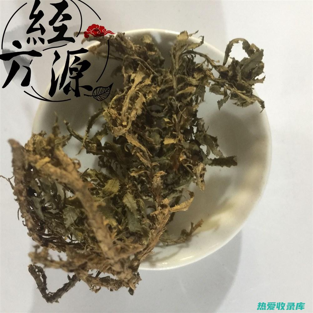 中药三层草的功效：全方位了解其益处 (中草药三层草)