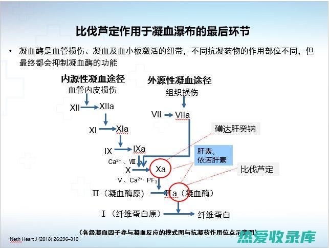 服用抗凝药物者：服用抗凝药物者不宜服用石斛，以免增加出血风险。(服用抗凝药物后的出血)