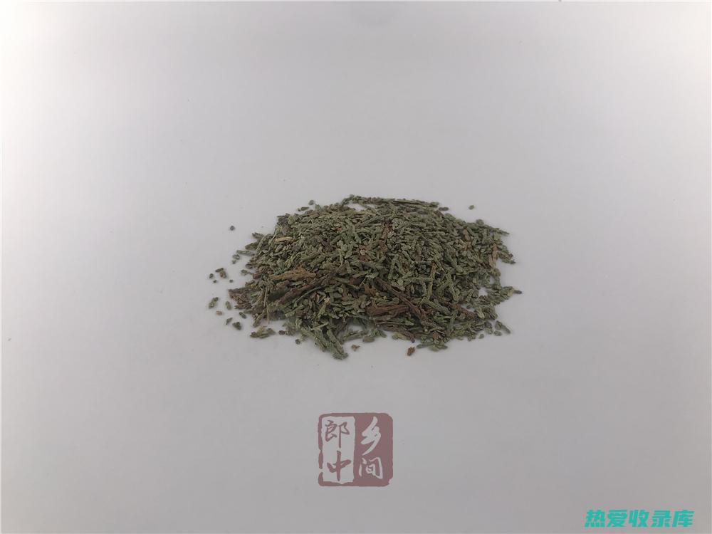 侧柏的惊人功效与作用：从健康到美颜 (侧柏的功能)